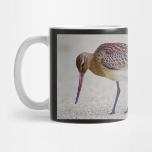 SOME BIRDS HAVE SEXY LEGS Mug